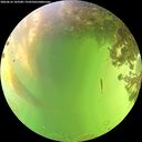 ./images/calvert/underwater/20260616/underwater20260616_143501M.jpg