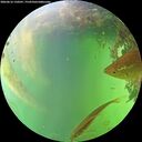 ./images/calvert/underwater/20260616/underwater20260616_150501M.jpg