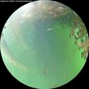 ./images/calvert/underwater/20260616/underwater20260616_170501M.jpg