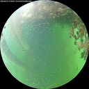 ./images/calvert/underwater/20260616/underwater20260616_171001M.jpg