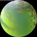 ./images/calvert/underwater/20260616/underwater20260616_185001M.jpg