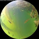 ./images/calvert/underwater/20260616/underwater20260616_190501M.jpg