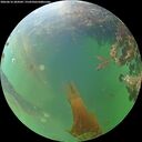 ./images/calvert/underwater/20260616/underwater20260616_204501M.jpg
