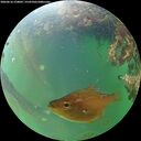 ./images/calvert/underwater/20260616/underwater20260616_210001M.jpg