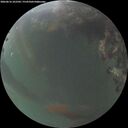 ./images/calvert/underwater/20260616/underwater20260616_222501M.jpg