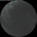 ./images/calvert/underwater/20260616/underwater20260616_224501M.jpg