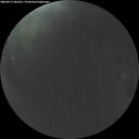 ./images/calvert/underwater/20260617/underwater20260617_042501M.jpg