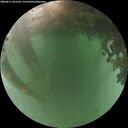 ./images/calvert/underwater/20260617/underwater20260617_051501M.jpg