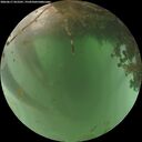 ./images/calvert/underwater/20260617/underwater20260617_052501M.jpg