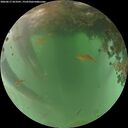 ./images/calvert/underwater/20260617/underwater20260617_053501M.jpg