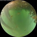 ./images/calvert/underwater/20260617/underwater20260617_055002M.jpg