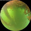 ./images/calvert/underwater/20260617/underwater20260617_064501M.jpg
