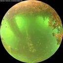 ./images/calvert/underwater/20260617/underwater20260617_081501M.jpg