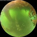 ./images/calvert/underwater/20260617/underwater20260617_082501M.jpg