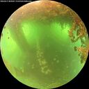 ./images/calvert/underwater/20260617/underwater20260617_083001M.jpg