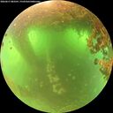 ./images/calvert/underwater/20260617/underwater20260617_083501M.jpg