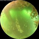 ./images/calvert/underwater/20260617/underwater20260617_094001M.jpg