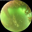 ./images/calvert/underwater/20260617/underwater20260617_094501M.jpg