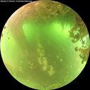 ./images/calvert/underwater/20260617/underwater20260617_095501M.jpg