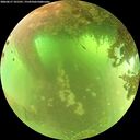 ./images/calvert/underwater/20260617/underwater20260617_101501M.jpg