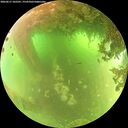 ./images/calvert/underwater/20260617/underwater20260617_102501M.jpg