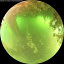 ./images/calvert/underwater/20260617/underwater20260617_103501M.jpg