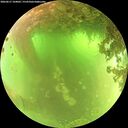 ./images/calvert/underwater/20260617/underwater20260617_104002M.jpg