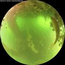 ./images/calvert/underwater/20260617/underwater20260617_104501M.jpg
