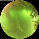 ./images/calvert/underwater/20260617/underwater20260617_105002M.jpg
