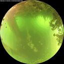 ./images/calvert/underwater/20260617/underwater20260617_105501M.jpg