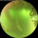 ./images/calvert/underwater/20260617/underwater20260617_110001M.jpg