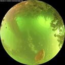 ./images/calvert/underwater/20260617/underwater20260617_110501M.jpg
