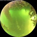 ./images/calvert/underwater/20260617/underwater20260617_113501M.jpg