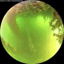 ./images/calvert/underwater/20260617/underwater20260617_114002M.jpg