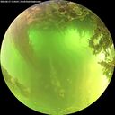 ./images/calvert/underwater/20260617/underwater20260617_114501M.jpg