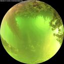 ./images/calvert/underwater/20260617/underwater20260617_115501M.jpg