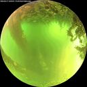 ./images/calvert/underwater/20260617/underwater20260617_120501M.jpg