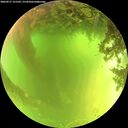 ./images/calvert/underwater/20260617/underwater20260617_121502M.jpg