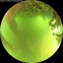 ./images/calvert/underwater/20260617/underwater20260617_122001M.jpg