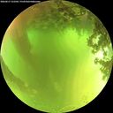 ./images/calvert/underwater/20260617/underwater20260617_122501M.jpg