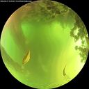 ./images/calvert/underwater/20260617/underwater20260617_123501M.jpg