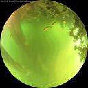 ./images/calvert/underwater/20260617/underwater20260617_124001M.jpg