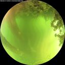 ./images/calvert/underwater/20260617/underwater20260617_124501M.jpg