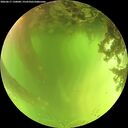 ./images/calvert/underwater/20260617/underwater20260617_130001M.jpg