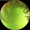 ./images/calvert/underwater/20260617/underwater20260617_134001M.jpg