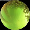 ./images/calvert/underwater/20260617/underwater20260617_134502M.jpg