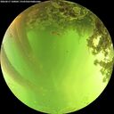 ./images/calvert/underwater/20260617/underwater20260617_140001M.jpg