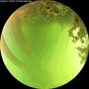 ./images/calvert/underwater/20260617/underwater20260617_142001M.jpg