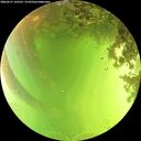 ./images/calvert/underwater/20260617/underwater20260617_142501M.jpg