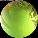 ./images/calvert/underwater/20260617/underwater20260617_143501M.jpg